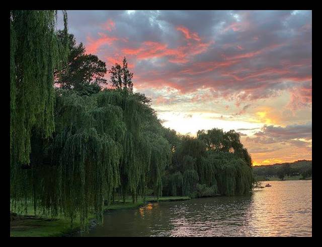 8 BEDROOM HOUSE FOR SALE IN VAN RIEBEECK PARK